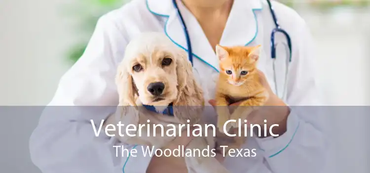Veterinarian Clinic The Woodlands Texas