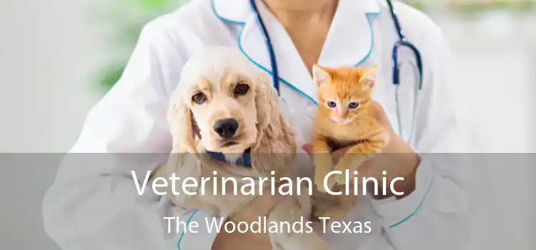 Veterinarian Clinic The Woodlands Texas