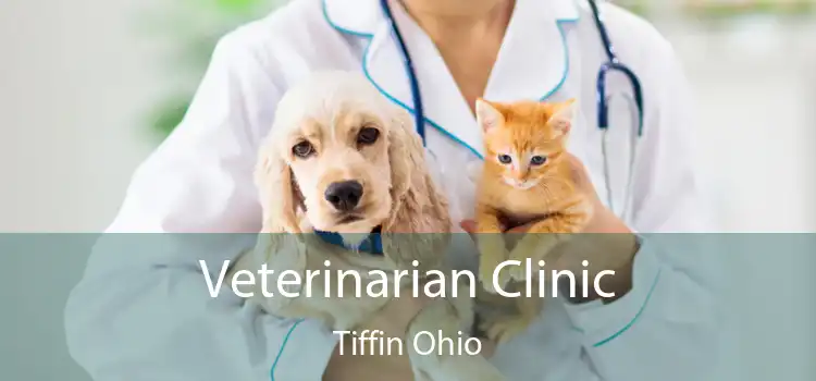 Veterinarian Clinic Tiffin Ohio