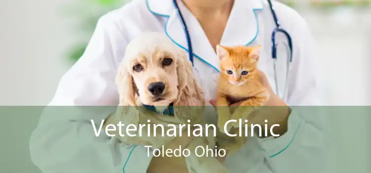Veterinarian Clinic Toledo Ohio