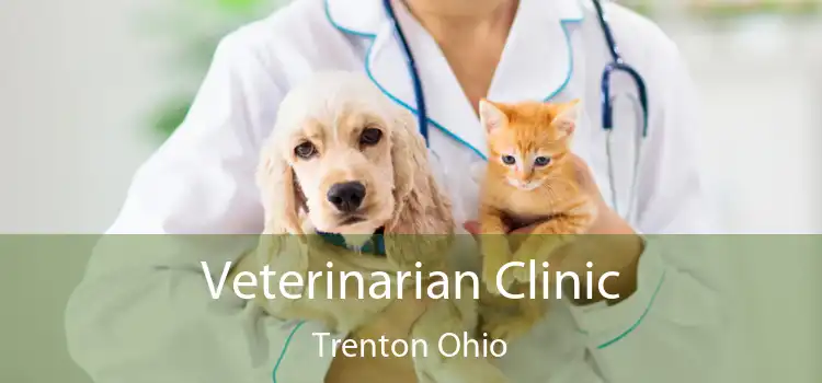 Veterinarian Clinic Trenton Ohio