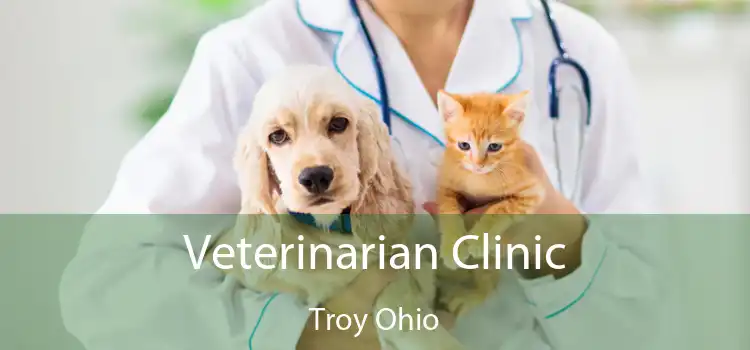 Veterinarian Clinic Troy Ohio