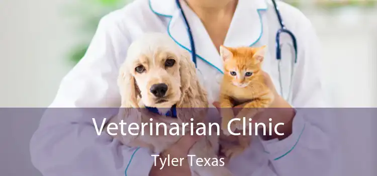 Veterinarian Clinic Tyler Texas