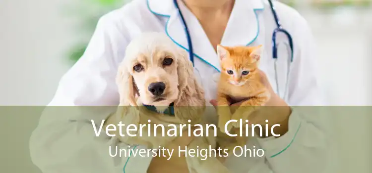 Veterinarian Clinic University Heights Ohio