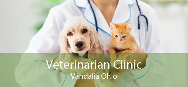 Veterinarian Clinic Vandalia Ohio