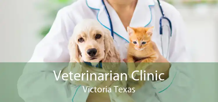 Veterinarian Clinic Victoria Texas