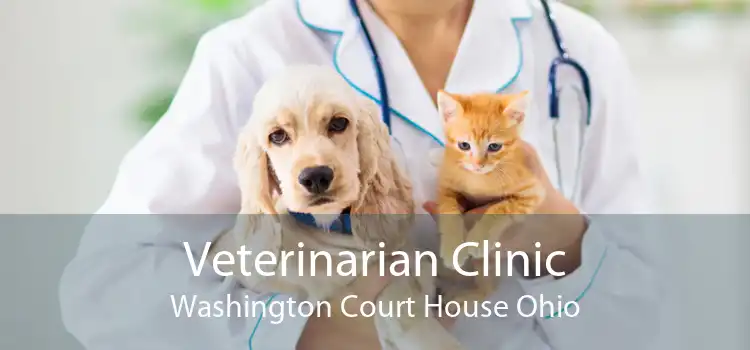 Veterinarian Clinic Washington Court House Ohio