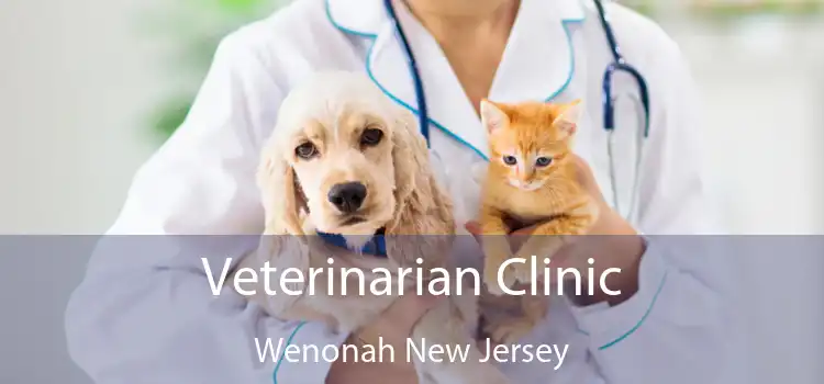 Veterinarian Clinic Wenonah New Jersey