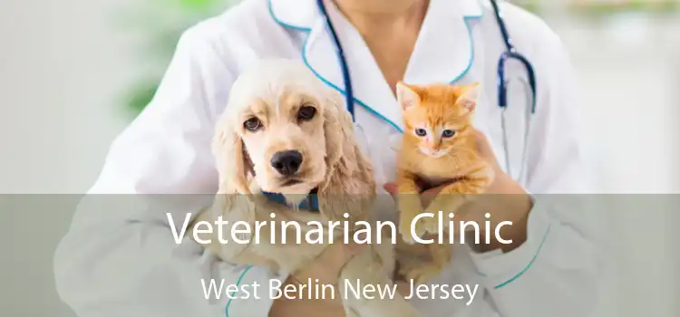 Veterinarian Clinic West Berlin New Jersey