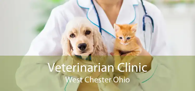 Veterinarian Clinic West Chester Ohio