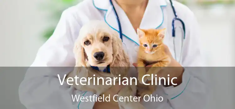 Veterinarian Clinic Westfield Center Ohio