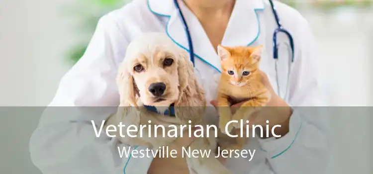 Veterinarian Clinic Westville New Jersey