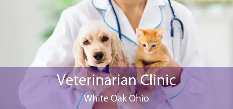 Veterinarian Clinic White Oak Ohio