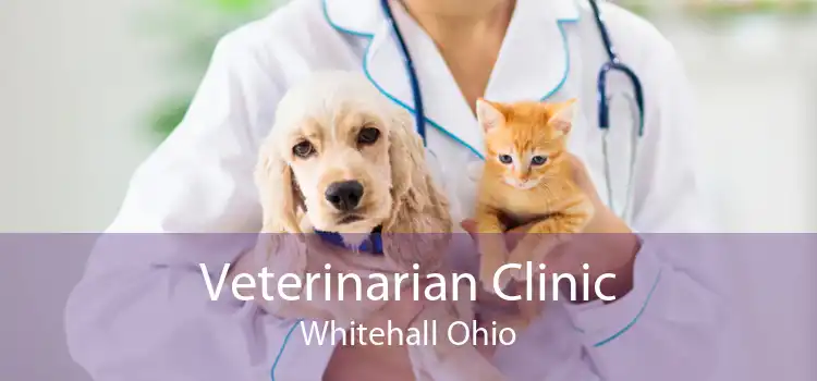 Veterinarian Clinic Whitehall Ohio