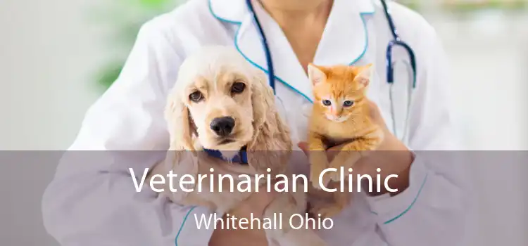 Veterinarian Clinic Whitehall Ohio