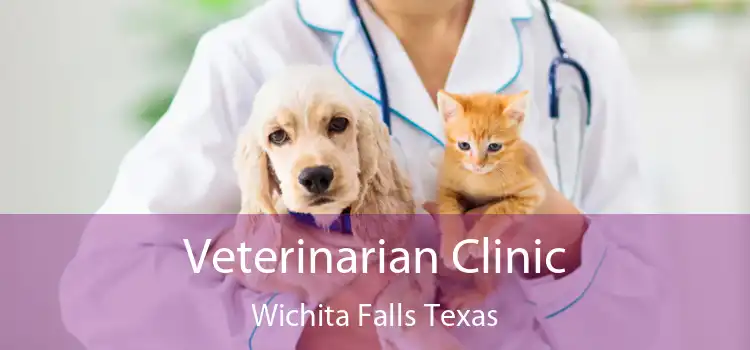 Veterinarian Clinic Wichita Falls Texas