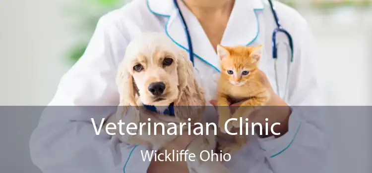 Veterinarian Clinic Wickliffe Ohio