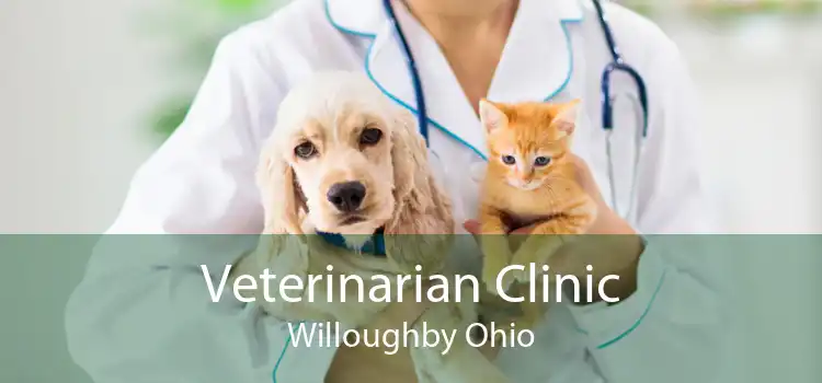 Veterinarian Clinic Willoughby Ohio