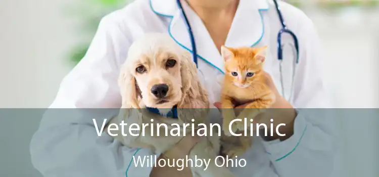 Veterinarian Clinic Willoughby Ohio