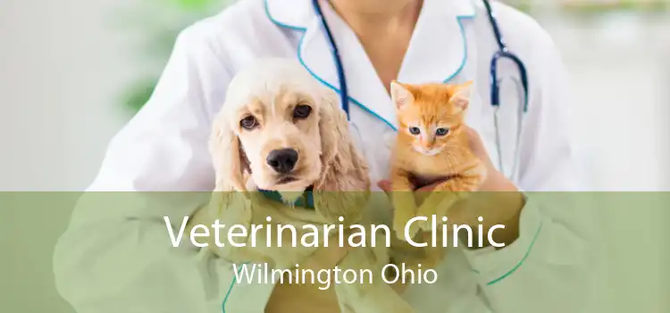 Veterinarian Clinic Wilmington Ohio