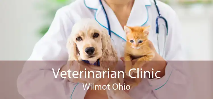 Veterinarian Clinic Wilmot Ohio