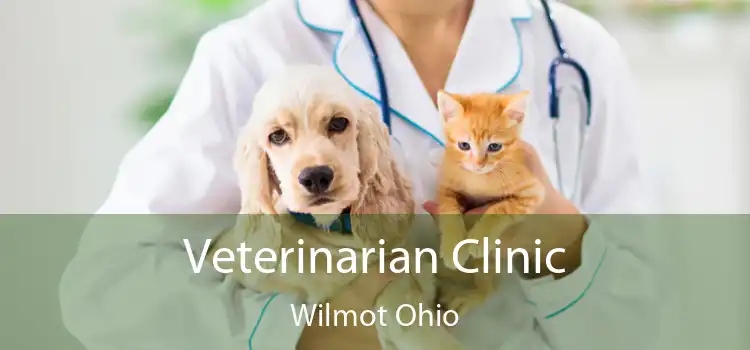 Veterinarian Clinic Wilmot Ohio