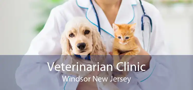 Veterinarian Clinic Windsor New Jersey