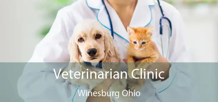 Veterinarian Clinic Winesburg Ohio