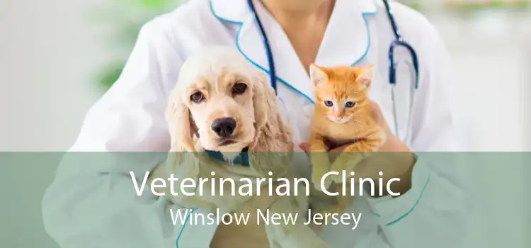 Veterinarian Clinic Winslow New Jersey