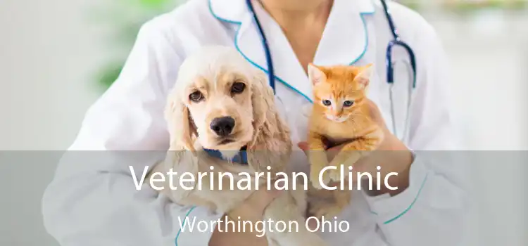 Veterinarian Clinic Worthington Ohio