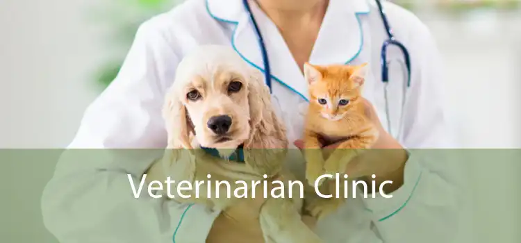 Veterinarian Clinic  